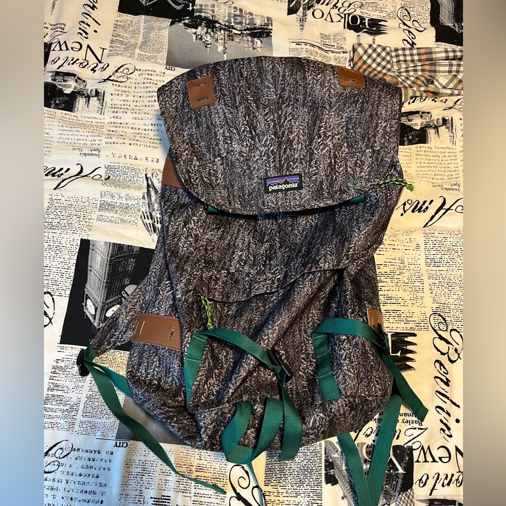 Patagonia Backpack